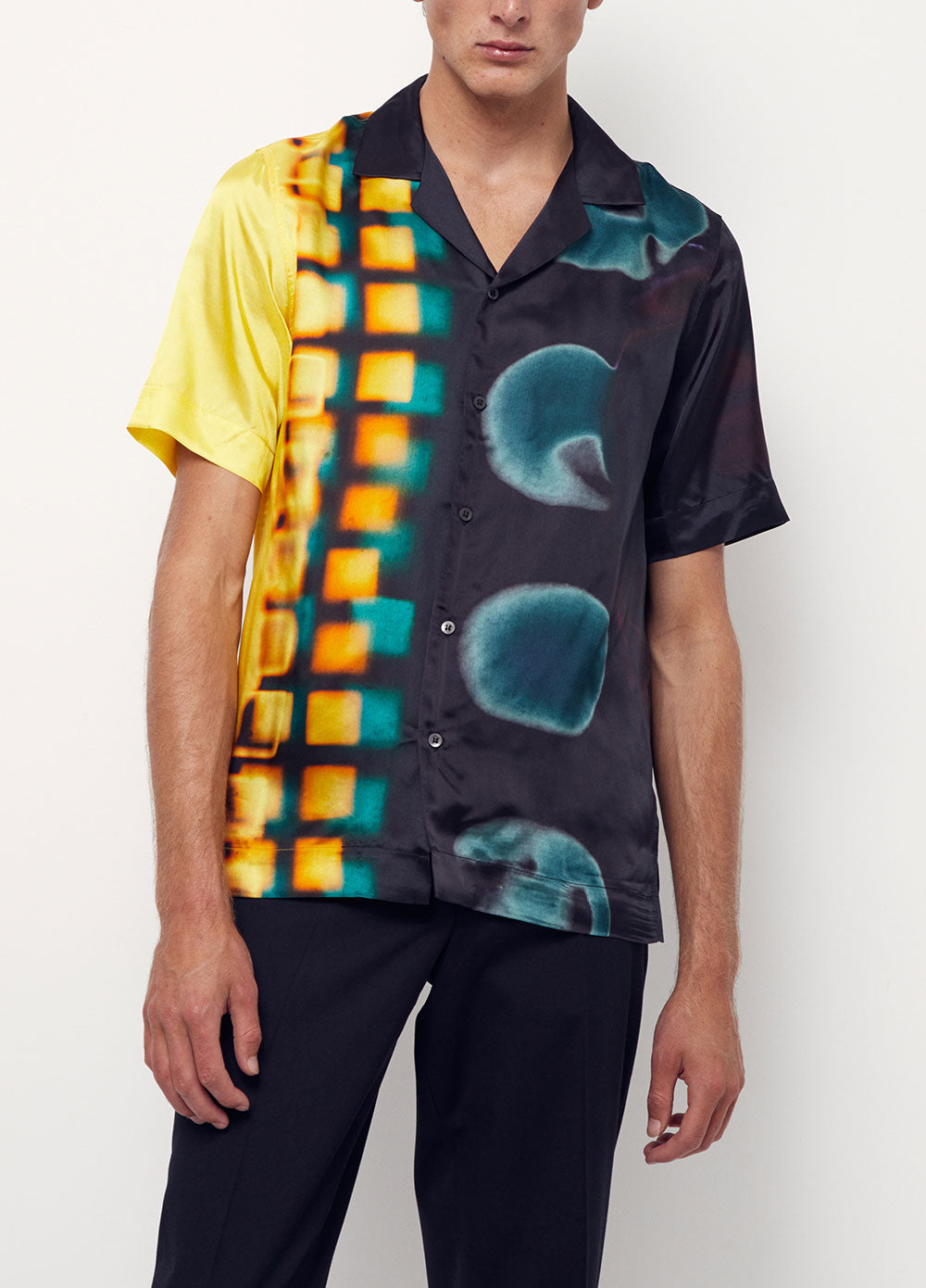 Dries van 2024 noten carltone shirt