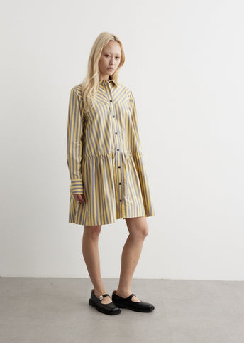 Stripe Mini Shirt Dress