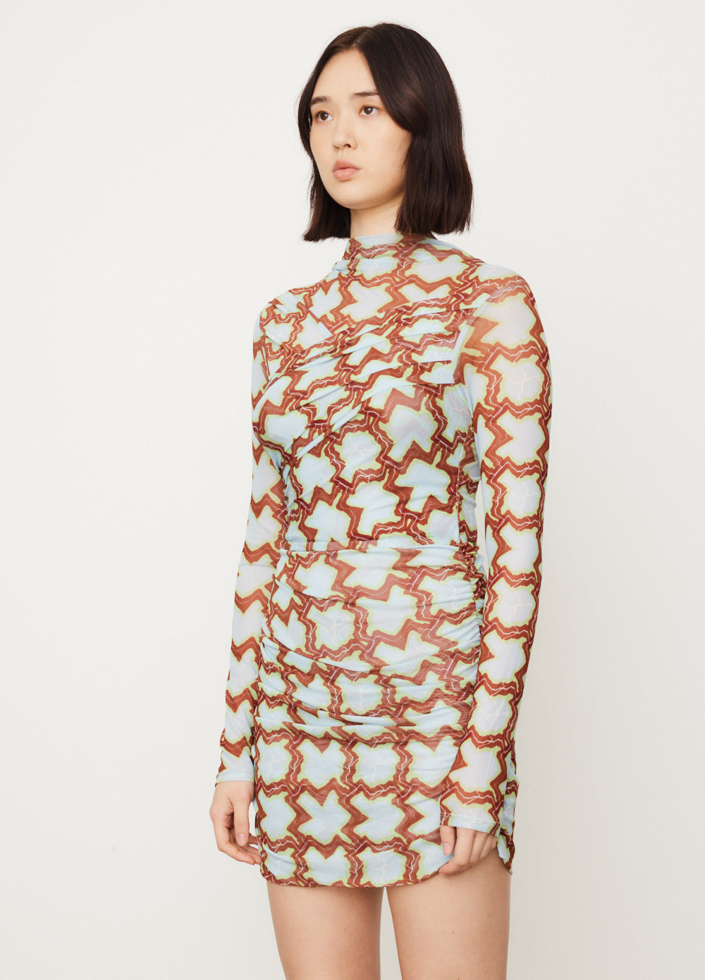 Lucinda Printed Dress