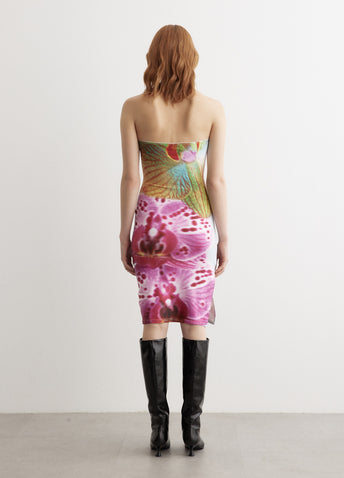 Orchid Tube Dress