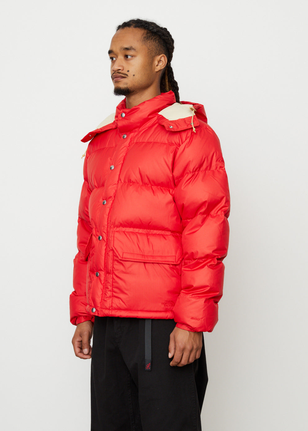 The north face mens deals down sierra jacket