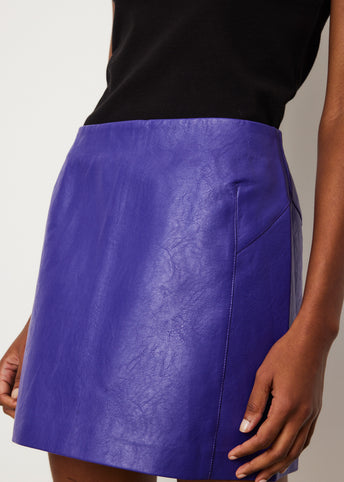 Sacha Mini Skirt