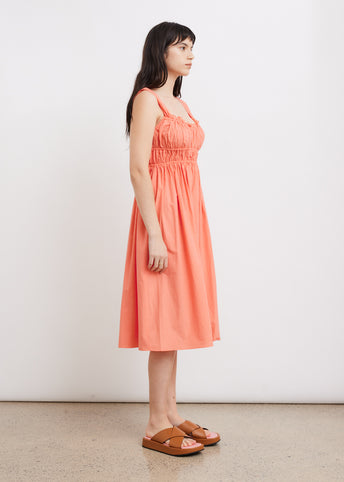 J crew store clara dress